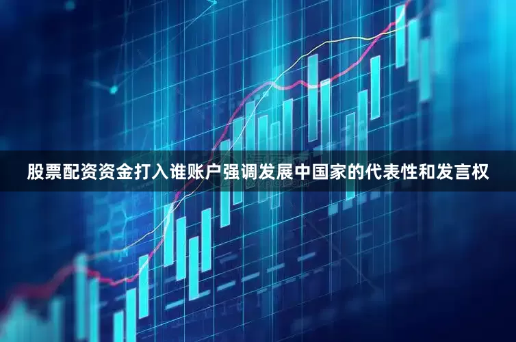 股票配资资金打入谁账户强调发展中国家的代表性和发言权