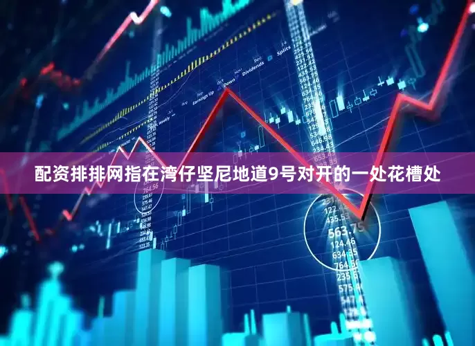 配资排排网指在湾仔坚尼地道9号对开的一处花槽处